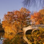 Best time to visit New York City in fall with Central Park