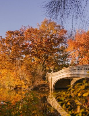 Best time to visit New York City in fall with Central Park